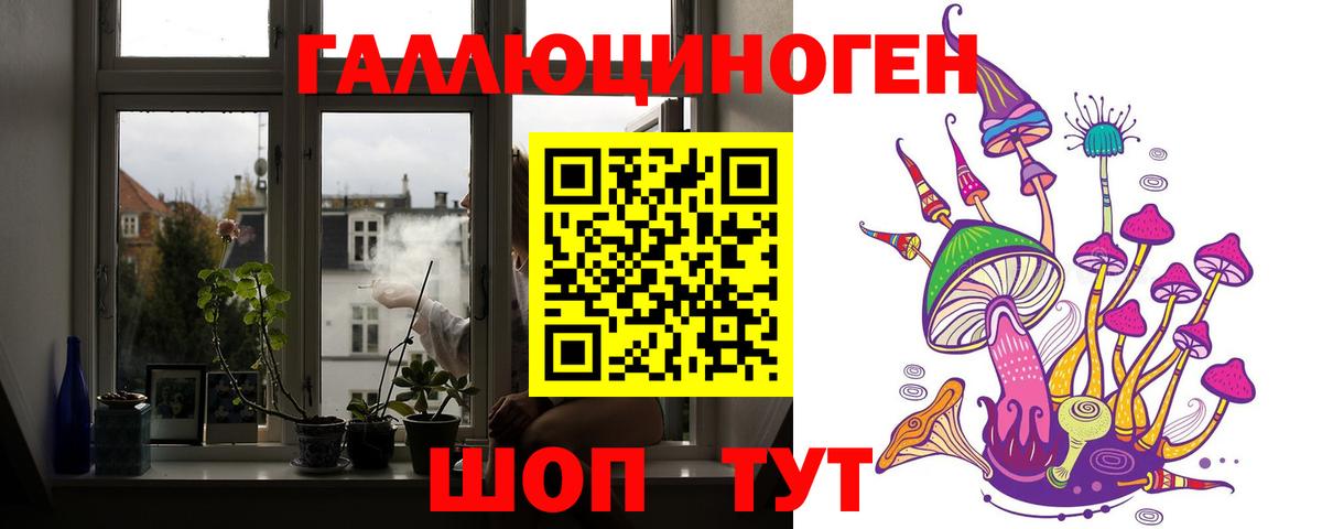 Галлюциногенные грибы мицелий Когалым